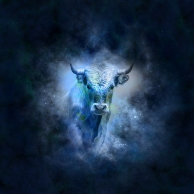 Taurus
